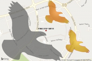 מרחיק יונים בעשרת - הרחקת יונים בעשרת