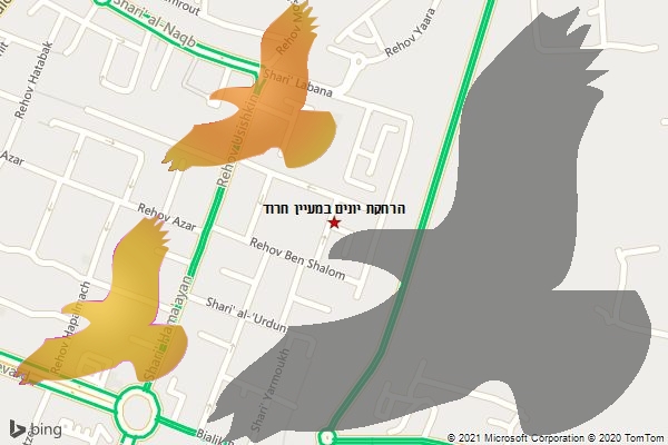 הרחקת יונים במעיין חרוד