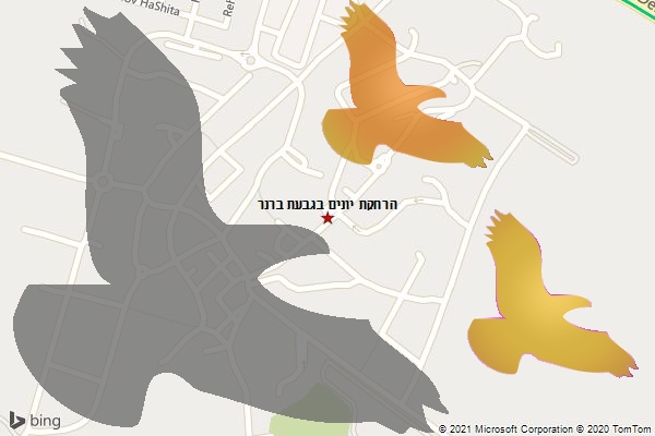 הרחקת יונים בגבעת ברנר