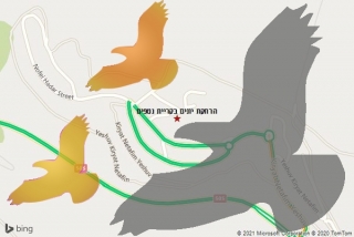 מרחיק יונים בקריית נטפים - הרחקת יונים בקריית נטפים