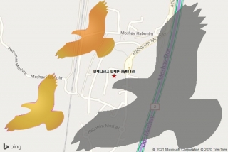  בהבונים - הרחקת יונים בהבונים