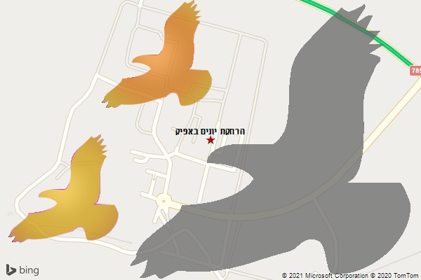 הרחקת יונים באפיק