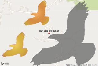 מרחיק יונים בכפר יעבץ - הרחקת יונים בכפר יעבץ