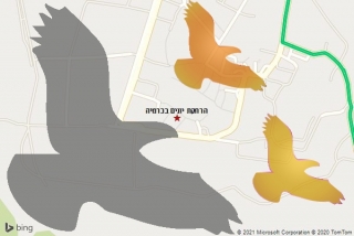 מרחיק יונים בכרמיה - הרחקת יונים בכרמיה