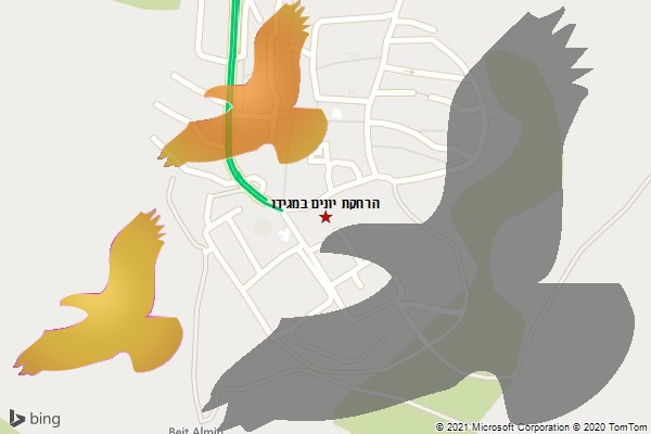 הרחקת יונים במגידו