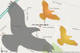 מרחיק יונים בכפר ביל״ו - הרחקת יונים בכפר ביל״ו