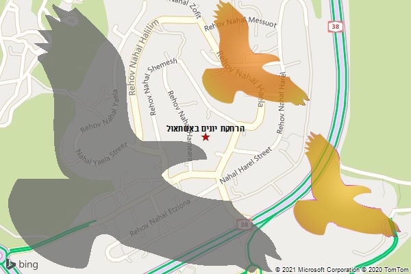 הרחקת יונים באשתאול