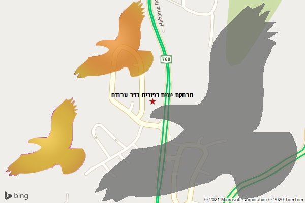 הרחקת יונים בפוריה כפר עבודה