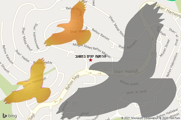 הרחקת יונים במשגב