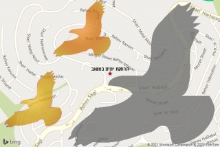 מרחיק יונים במשגב - הרחקת יונים במשגב
