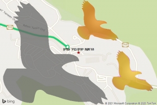 מרחיק יונים בניר עציון - הרחקת יונים בניר עציון