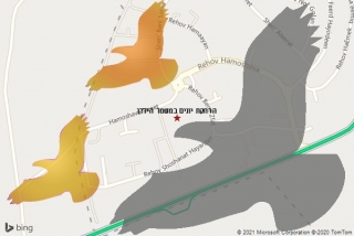 מרחיק יונים במשמר הירדן - הרחקת יונים במשמר הירדן