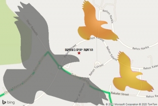 מרחיק יונים בעמיקם - הרחקת יונים בעמיקם