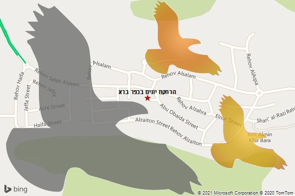 הרחקת יונים בכפר ברא