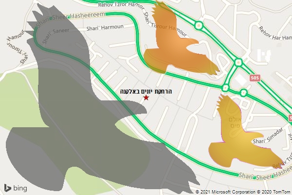 הרחקת יונים באלקנה
