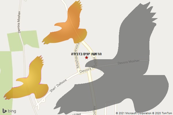 הרחקת יונים בדבורה