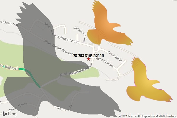 הרחקת יונים בטל אל