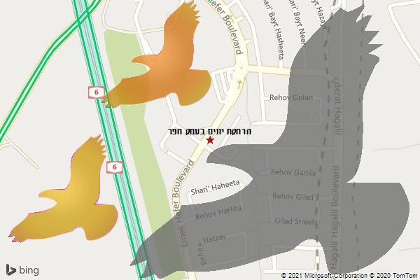הרחקת יונים בעמק חפר