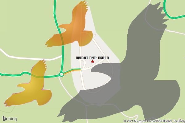 הרחקת יונים בעמוקה