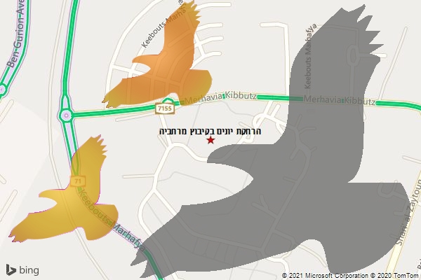 הרחקת יונים בקיבוץ מרחביה