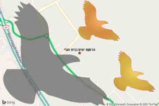 מרחיק יונים בבית הגדי - הרחקת יונים בבית הגדי