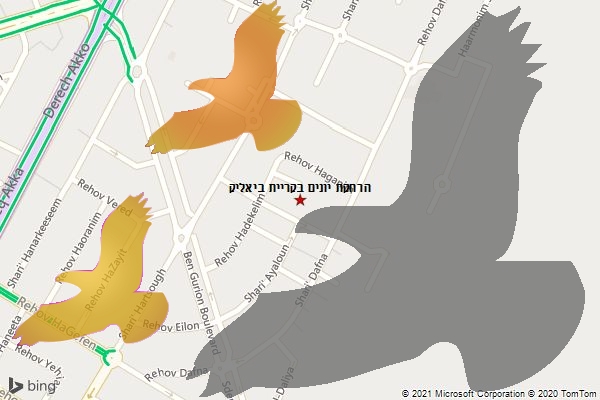 הרחקת יונים בקריית ביאליק