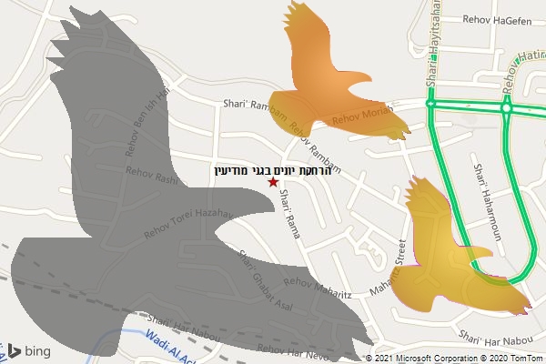 הרחקת יונים בגני מודיעין