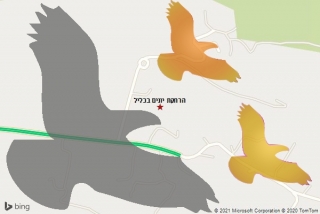 מרחיק יונים בכליל - הרחקת יונים בכליל