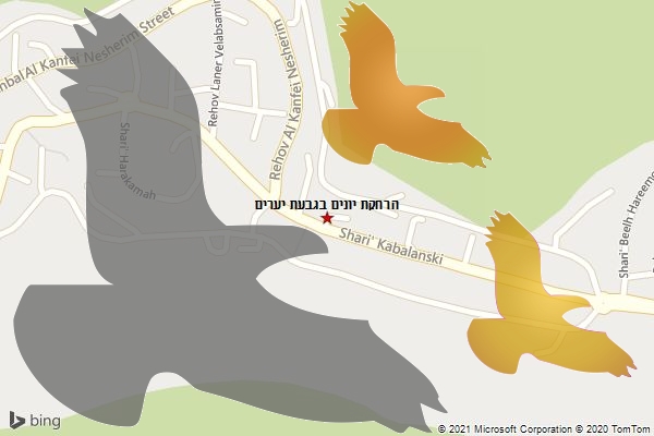 הרחקת יונים בגבעת יערים