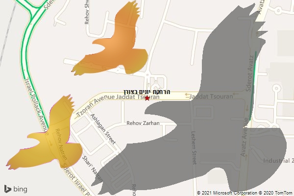 הרחקת יונים בצורן