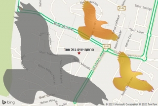 מרחיק יונים בתל מונד - הרחקת יונים בתל מונד
