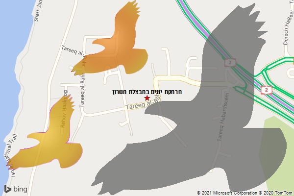 הרחקת יונים בחבצלת השרון