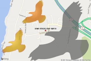 מרחיק יונים בחבצלת השרון - הרחקת יונים בחבצלת השרון