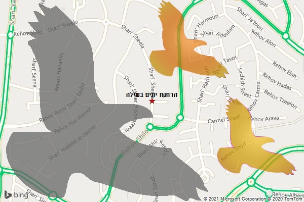 הרחקת יונים בשילה