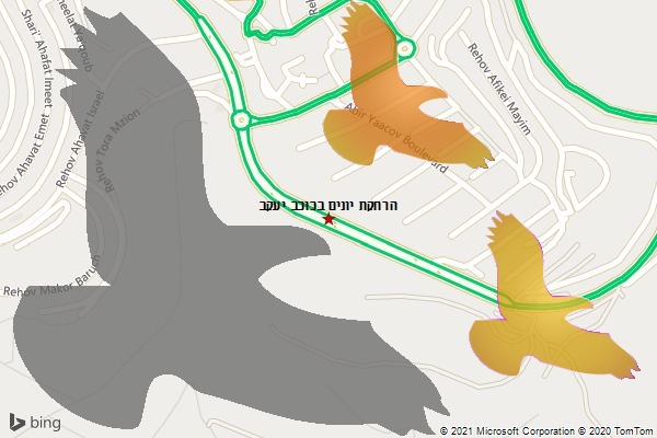 הרחקת יונים בכוכב יעקב