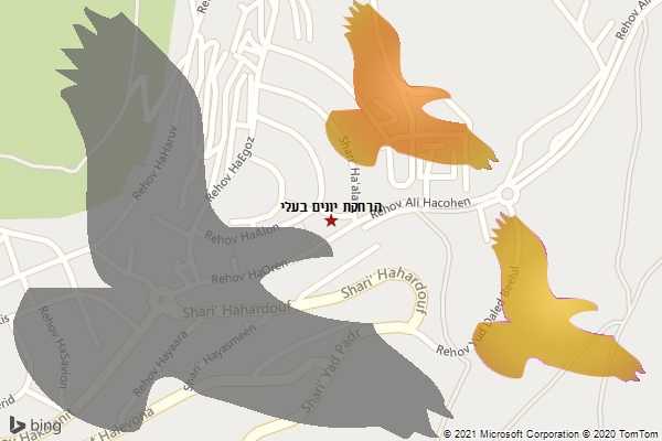 הרחקת יונים בעלי
