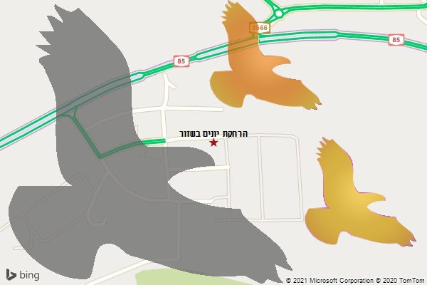 הרחקת יונים בשזור