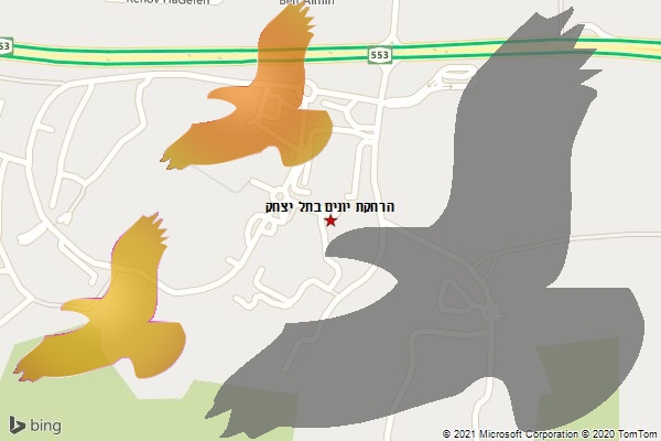 הרחקת יונים בתל יצחק