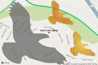 מרחיק יונים בלהבים - הרחקת יונים בלהבים