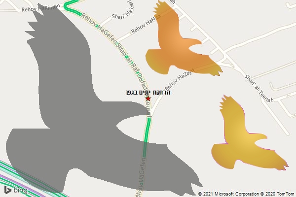 הרחקת יונים בגפן