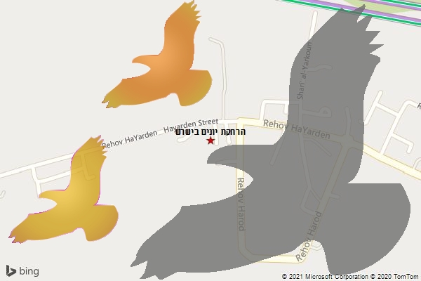 הרחקת יונים בישרש
