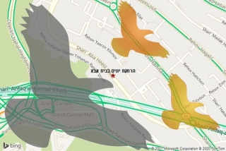 מרחיק יונים בבית אבא - הרחקת יונים בבית אבא
