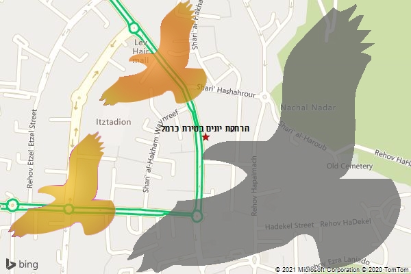 הרחקת יונים בטירת כרמל