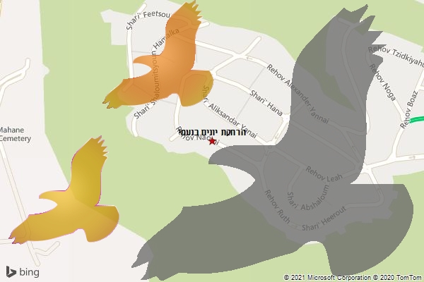הרחקת יונים בנעמי