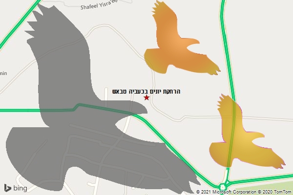 הרחקת יונים בכעביה טבאש