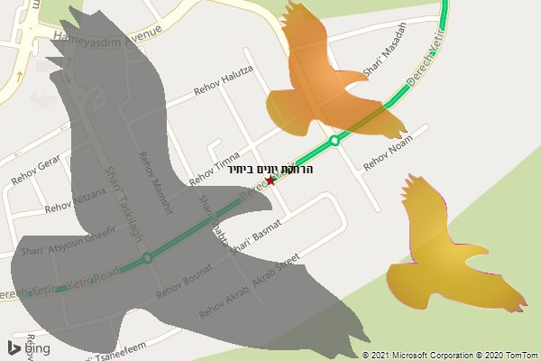 הרחקת יונים ביתיר
