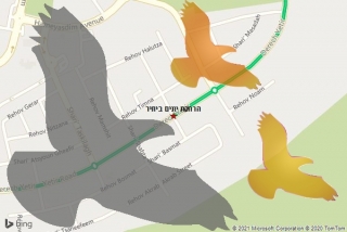 מרחיק יונים ביתיר - הרחקת יונים ביתיר