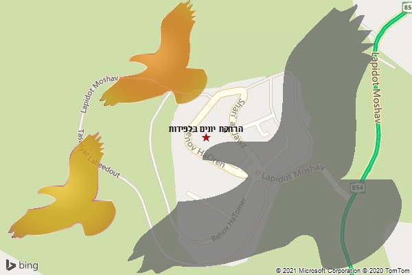 הרחקת יונים בלפידות