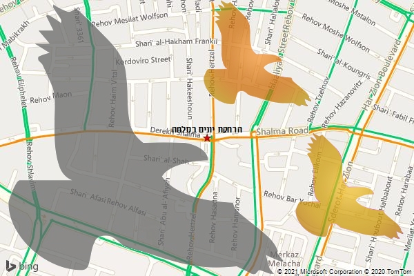 הרחקת יונים בסלמה