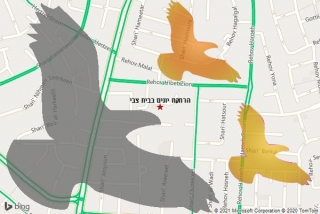 מרחיק יונים בבית צבי - הרחקת יונים בבית צבי